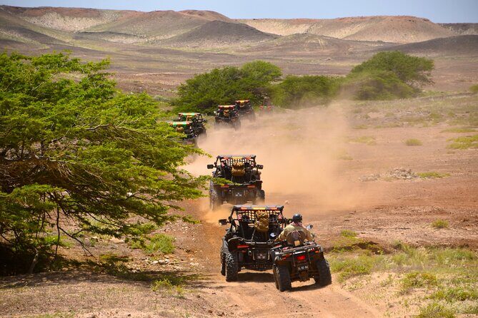 2h SSV Buggy Desert Adventure - 1000cc or 500cc - Palha Verde Oasis and Calheta Funda: where the ride gets quietly scenic
