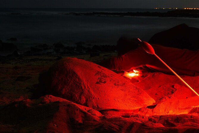 4h Turtle Watching with SSV Buggy Night 4WD - Meet Valdir and Elzio: Why the Guide Matters in the Dark
