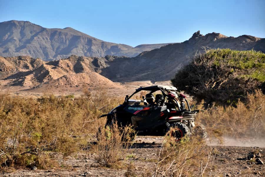 Boa Vista Buggy Tour: Death Valley Adventure (2-Hour) - Key things that make this buggy tour worth your time