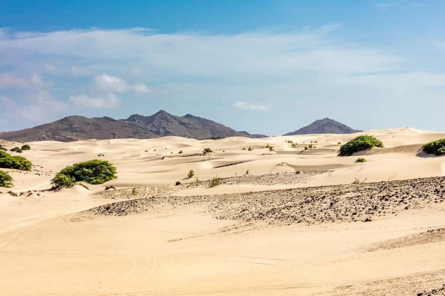 Boa Vista Full Day 4x4 Island Tour with Beachfront Lunch - Cabo de Santa Maria Shipwreck on Santa Maria Beach