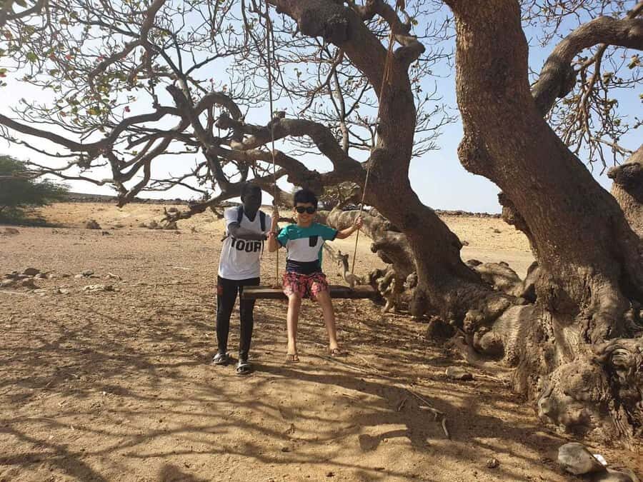 Boa Vista Island: Full-Day Wild Beaches & Viana Desert Tour - Fonte Vicente Oasis: fruit trees, wildlife talk, and cool shade