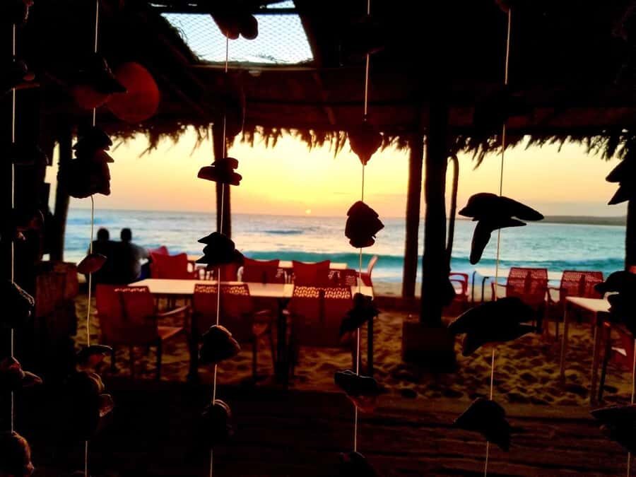 Boa Vista: Lobster Lunch at Santa Monica Beach - Santa Monica Beach timing: why this 4-hour format works