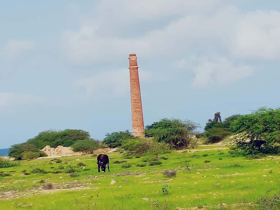 Boa Vista: Shipwreck, 4x4 Ride & Caves Day Tour with Lunch - What to Bring: Simple Stuff That Saves Your Day