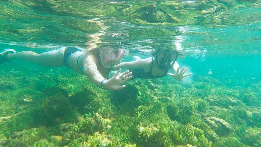 Boa Vista: Snorkeling at Gatas Bay & North East Tour - Key Points Worth Knowing Before You Go