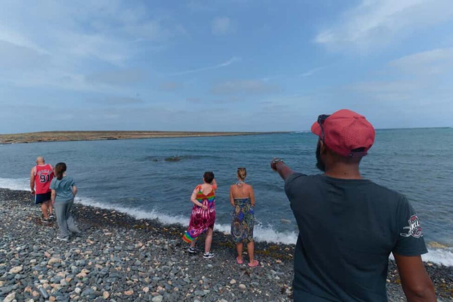 Boa Vista: Snorkeling at Gatas Bay & North East Tour - Guides and Group Size: Why This Feels Easier Than It Looks
