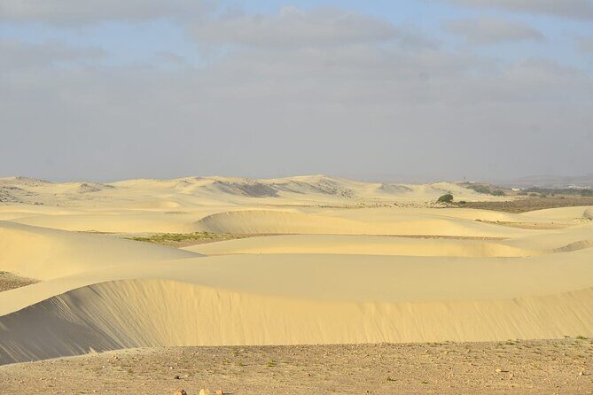 Boa Vista Tour: Santa Mónica, Desert & Shipwreck - Sal Rei Pickup, Small Group Energy, and Real-World Timing