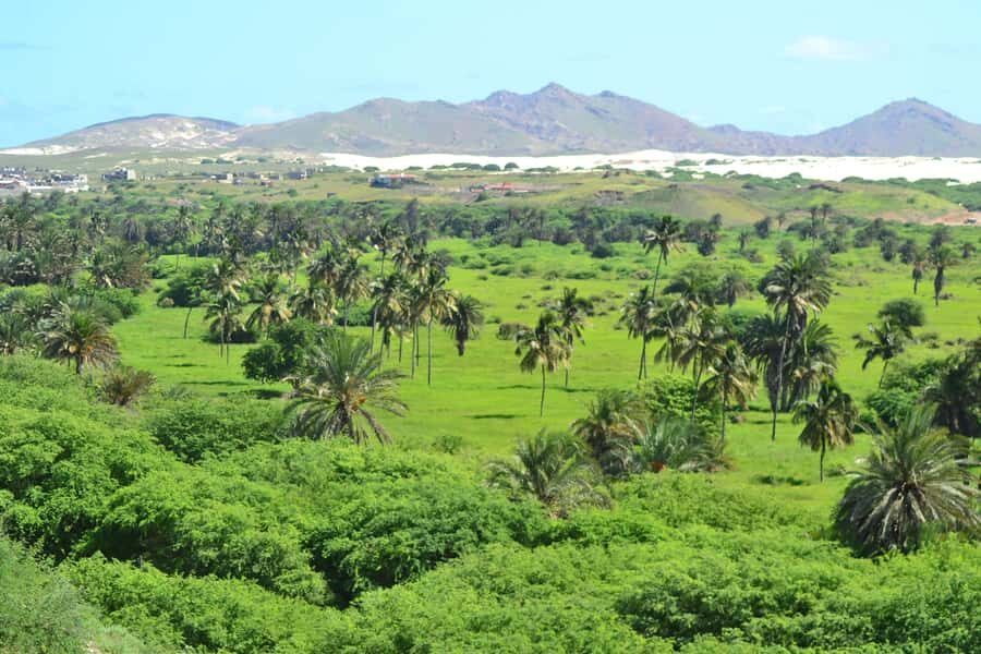 Boavista: Rabil, Shipwreck, City, Snacks & Drinks - 4x4 Tour - Entering Northern Boavista by 4x4 without the driving headache