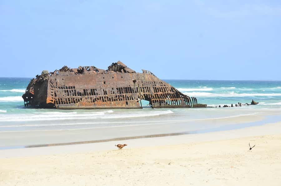 Boavista: Rabil, Shipwreck, City, Snacks & Drinks - 4x4 Tour - Loggerhead sea turtle season: what changes June to October