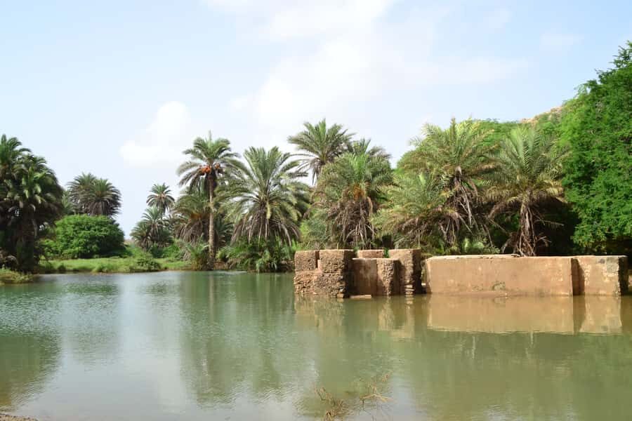 Boavista: Rabil, Shipwreck, City, Snacks & Drinks - 4x4 Tour - Sodade Restaurant snacks and drinks: the local taste stop you’ll remember