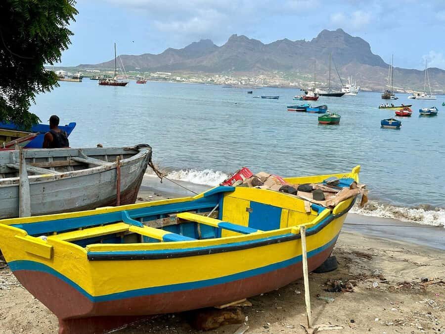 City Walking Tour of Mindelo: Cultural Capital - Mercado de Peixe: fish-market life in real time