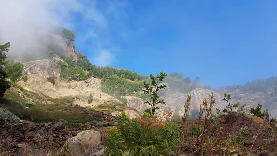 Cova–Paúl Valley Trek: Santo Antão Day Trip by Ferry - Grogue distillery visit in Paul: rum-making as culture, not just a stop