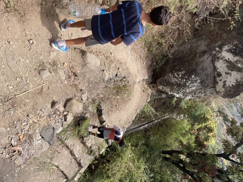 Cova–Paúl Valley Trek: Santo Antão Day Trip by Ferry - Who should book this Cova–Paúl day trip