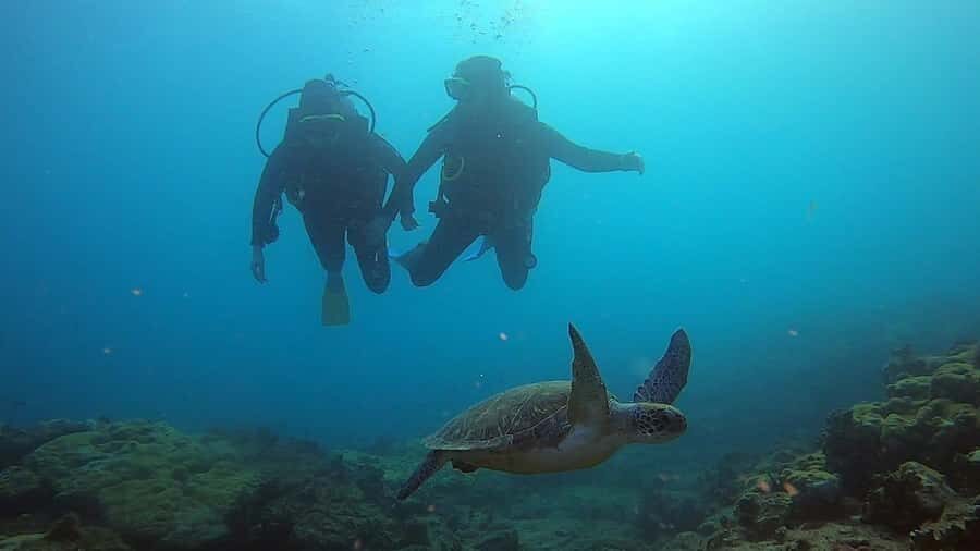 Discover Scuba Diving Program for Beginners - Shallow-Water Practice: Where Confidence Is Earned