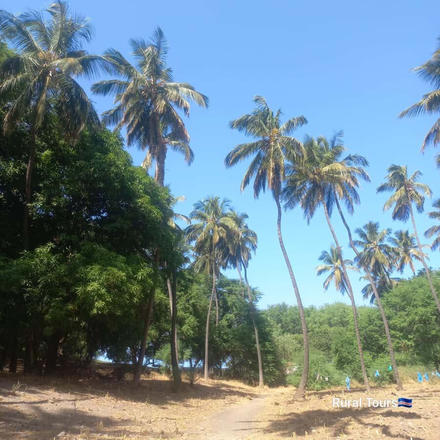 Discover the Black Sand Beach+the Natural Pool - Price and value: is $135 per person worth it?