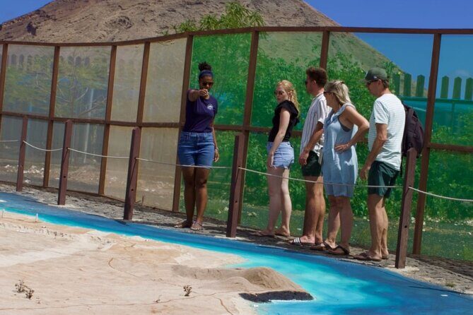Exclusive Sal Island - Full Day Personalized for You - Santa Maria Salt Flats: seeing how salt shaped the island
