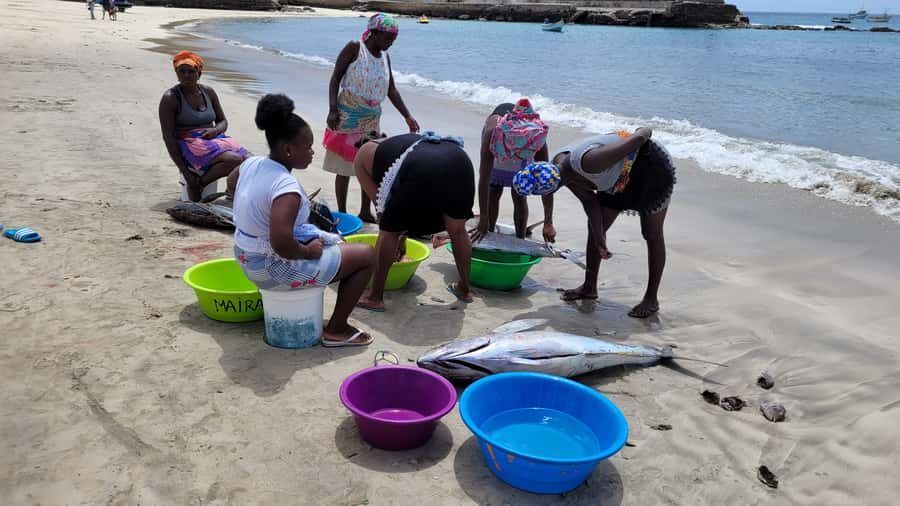 From Praia: Explore the island with local Tour guide - Stop 4: Tarrafal Beach Free Time to Swim or Just Chill