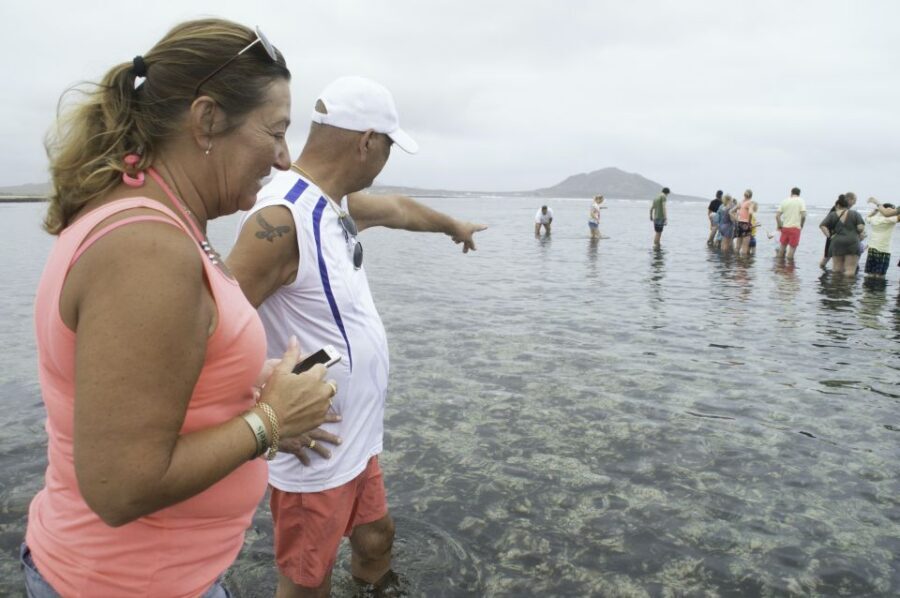 From Santa Maria: Guided Lemon Shark Watching - Santa Maria to the Shark Nursery: The Drive That Actually Helps