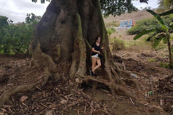 Full Day Santiago Island Tour - Banana plantation time: how food and island work connect