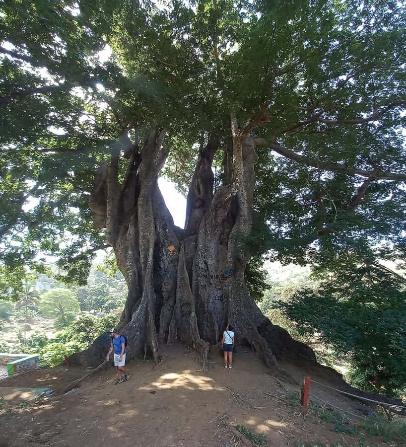Full-Day Santiago – Villages, Nature & Local Culture - Pickup and the “packed but practical” pacing