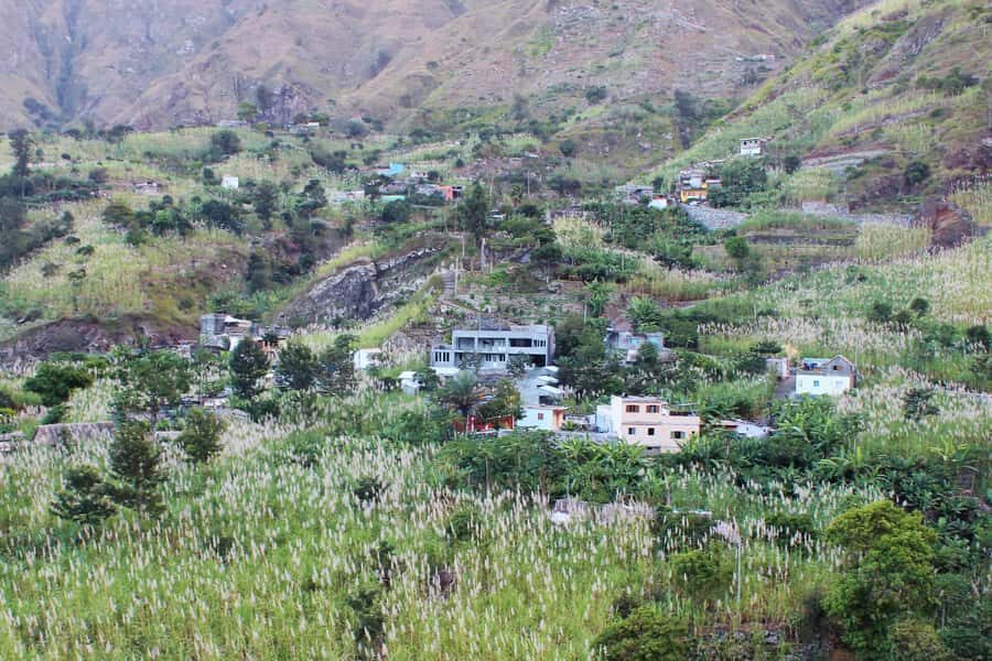 Hike from the Cova Volcano Crater to Ribeira Paúl - Plantations on the Path: Sugar Cane, Bananas, Mangoes, and More