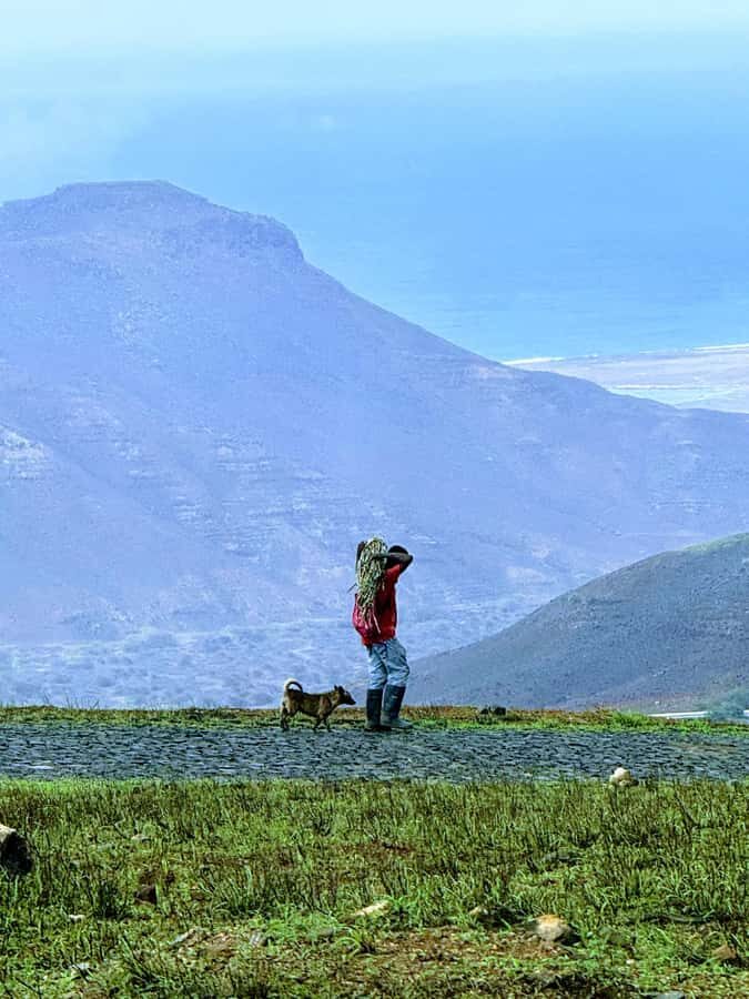 Hike Monte Verde - Entering Monte Verde: Why this highest point matters