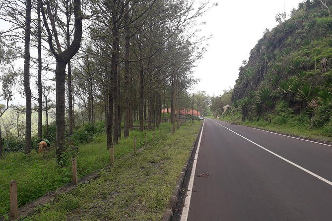 Hikking Natural Park/Serra Malagueta - Pickup, Private Guide Time, and How the Day Flows
