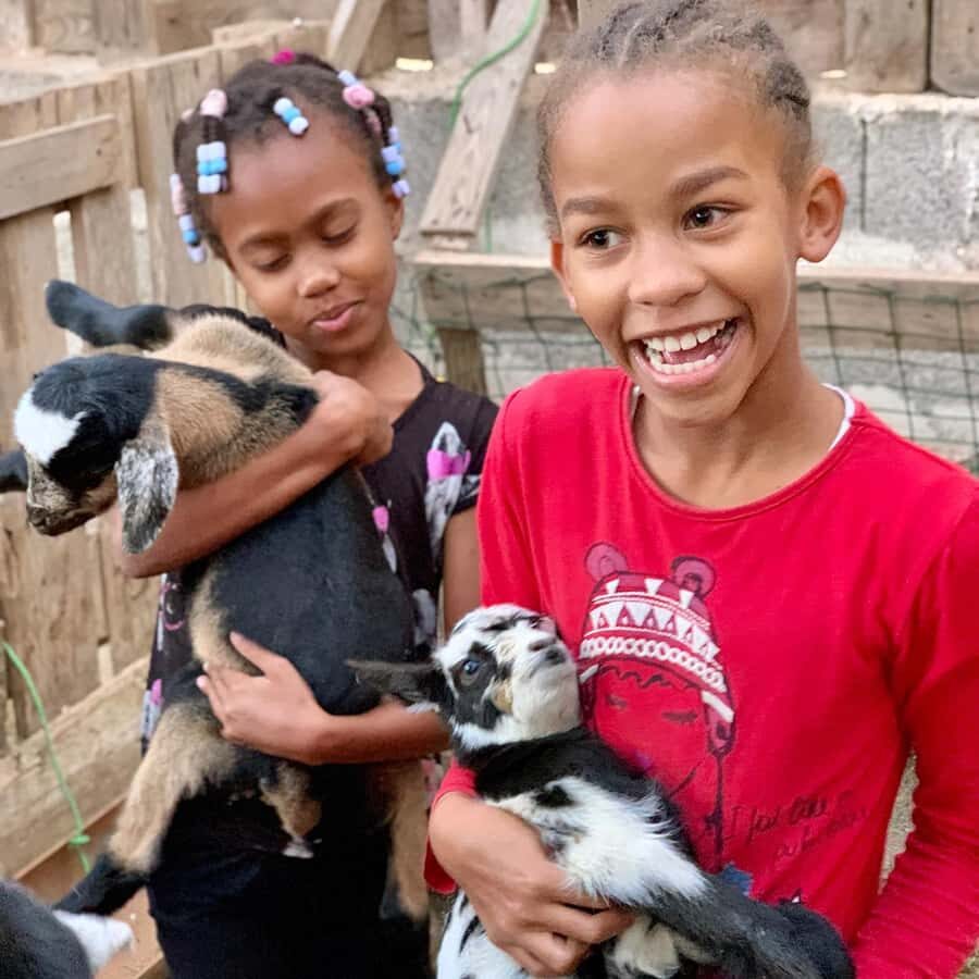 Island tour & cattle & Taste local flavors - Pottery and clay souvenirs: turtles, pots, and hands-on skill