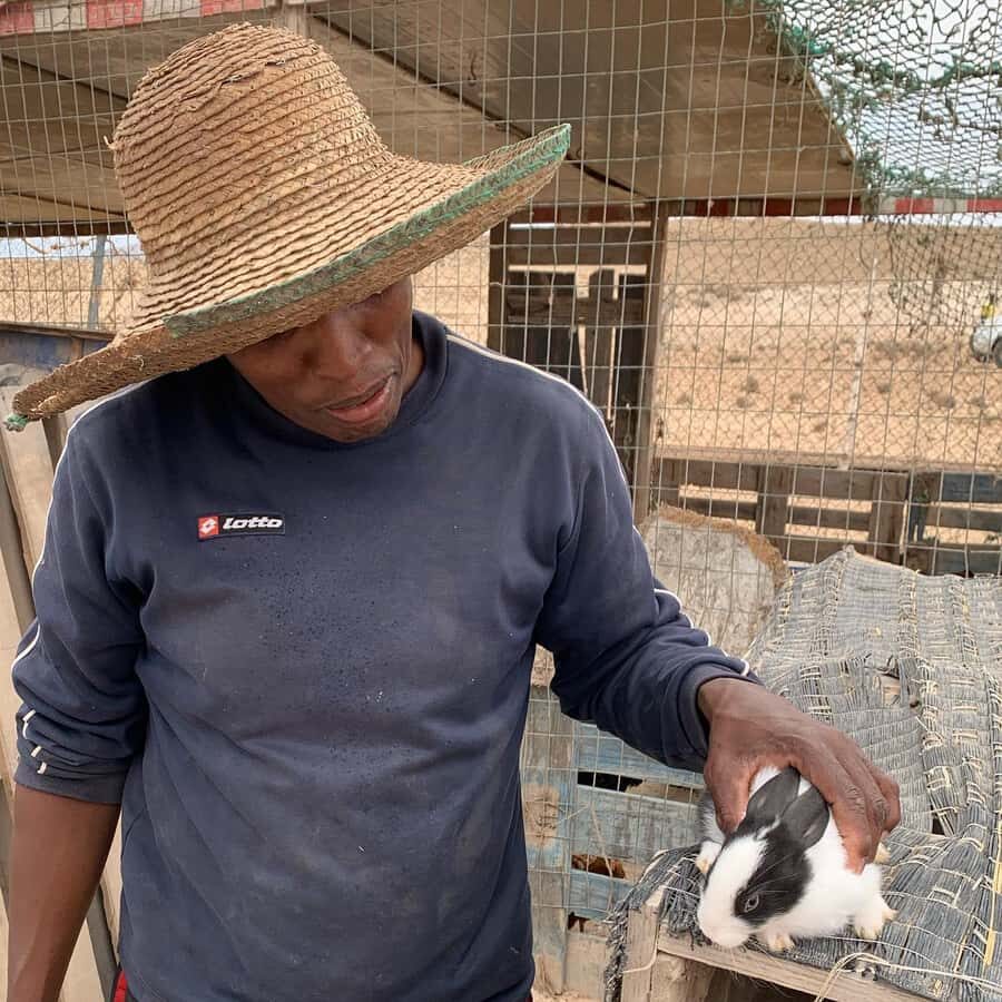 Island tour & cattle & Taste local flavors - Traditional village time and another craft market chance