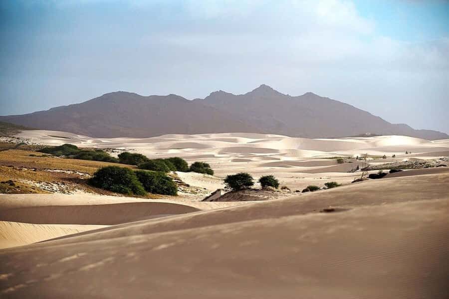 Island tour & cattle & Taste local flavors - Fundo de Figueiras: guided sightseeing with a short walk