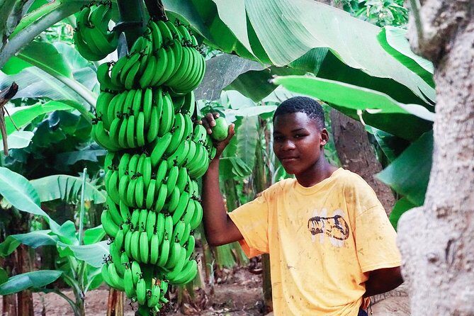 Like Locals: Banana Plantation, and Cuscuz with locals - Key Things You’ll Notice