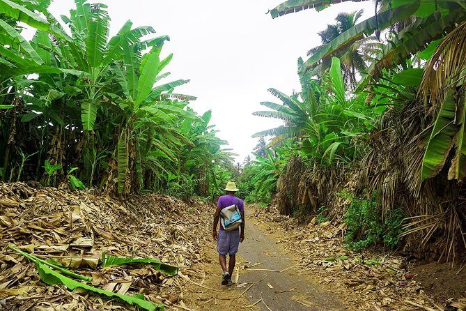Like Locals: Banana Plantation, and Cuscuz with locals - Why This Tour Feels Local, Not Staged