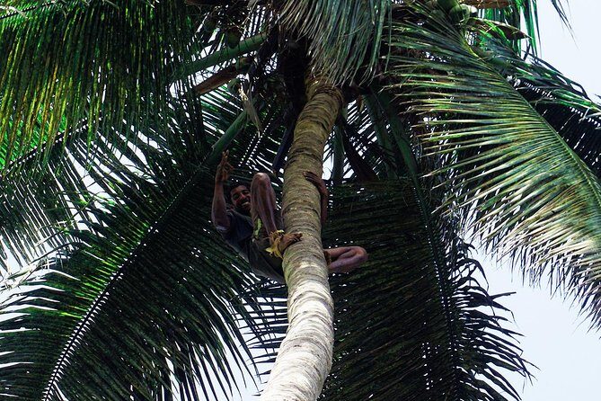 Like Locals: Banana Plantation, and Cuscuz with locals - The Ride Back to Praia: Rocks, Valleys, and Quick Local History