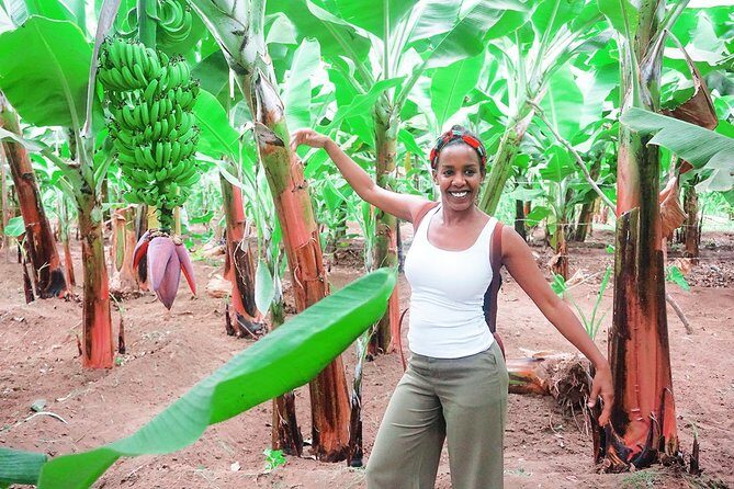 Like Locals: Banana Plantation, and Cuscuz with locals - Price and Value: Is $76.57 a Fair Deal?