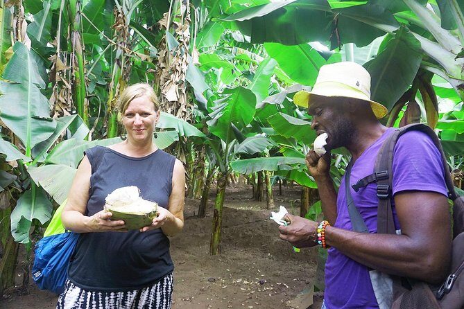 Like Locals: Banana Plantation, and Cuscuz with locals - Group Size, Guides, and the Language Factor