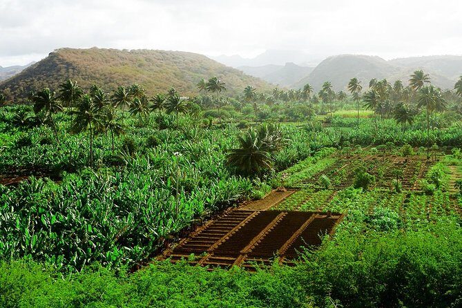 Like Locals: Banana Plantation, and Cuscuz with locals - Praia to Santa Cruz: A Scenic Start with Real Context
