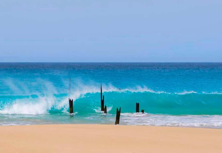 Maio Island: Full-day Guided Tour with Breakfast - Key highlights worth planning for