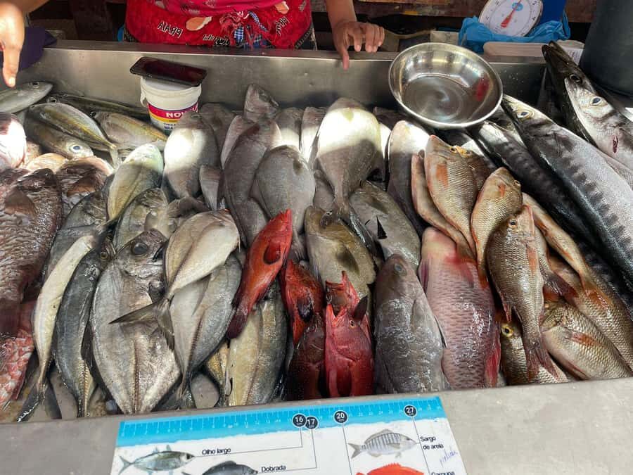 Mindelo City Walking Tour - Who Should Book This Mindelo Walk (and Who Should Skip It)