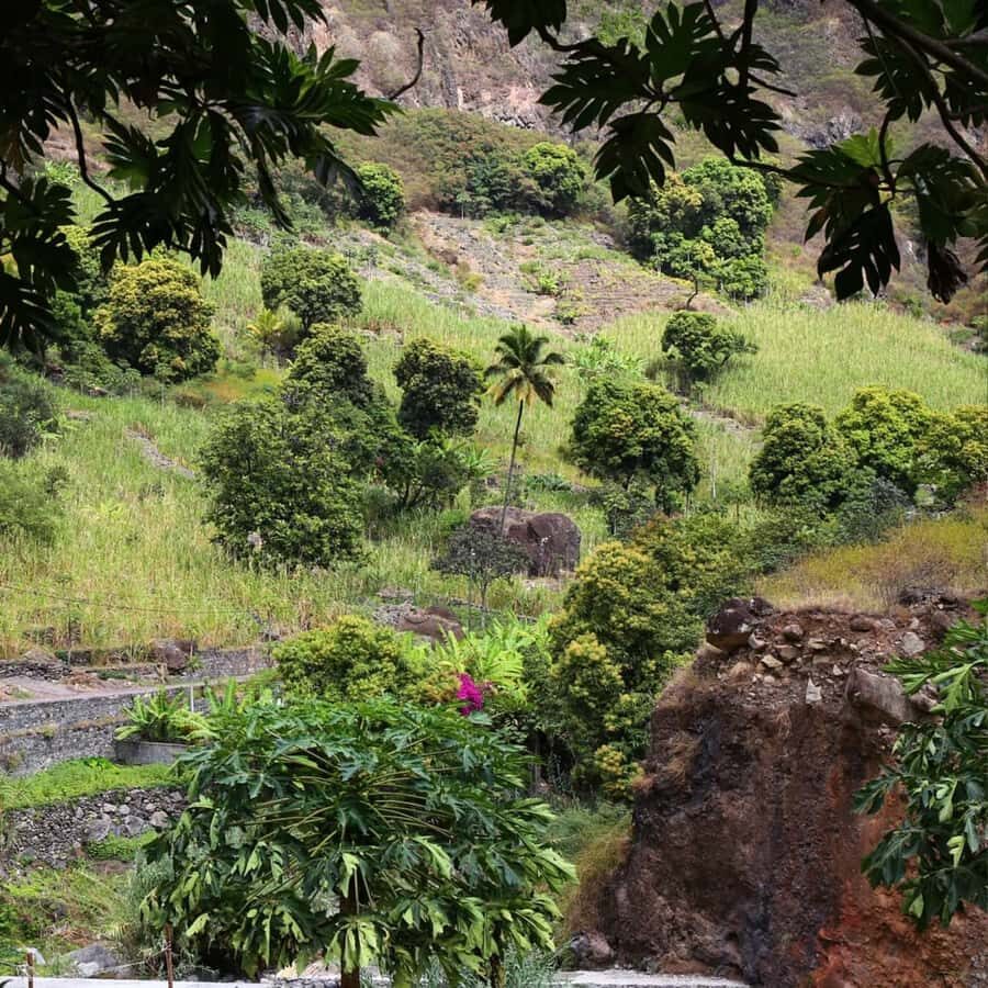 Paúl hike, the green garden - Who should do the Paúl hike (and who might skip it)