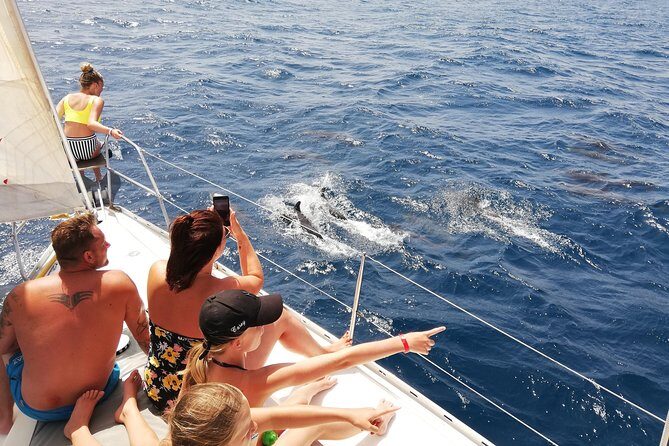 Private full day - Sailing Yacht - Snorkeling by Anchor: What You’re Likely to See