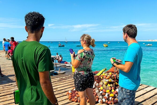 Private Guided Tour of Sal Island | Electric Car with Audio Guide - Ponta do Sinó: turtles, birds, and a lighthouse with sea-wide views