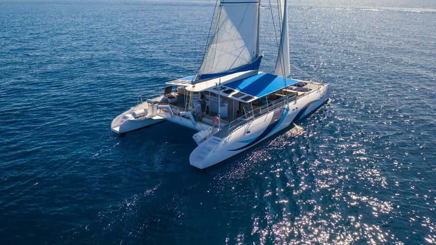 Sal Island Catamaran Cruise with All-inDrinks and Snacks - Price and Value: Does $73 Make Sense for Sal?