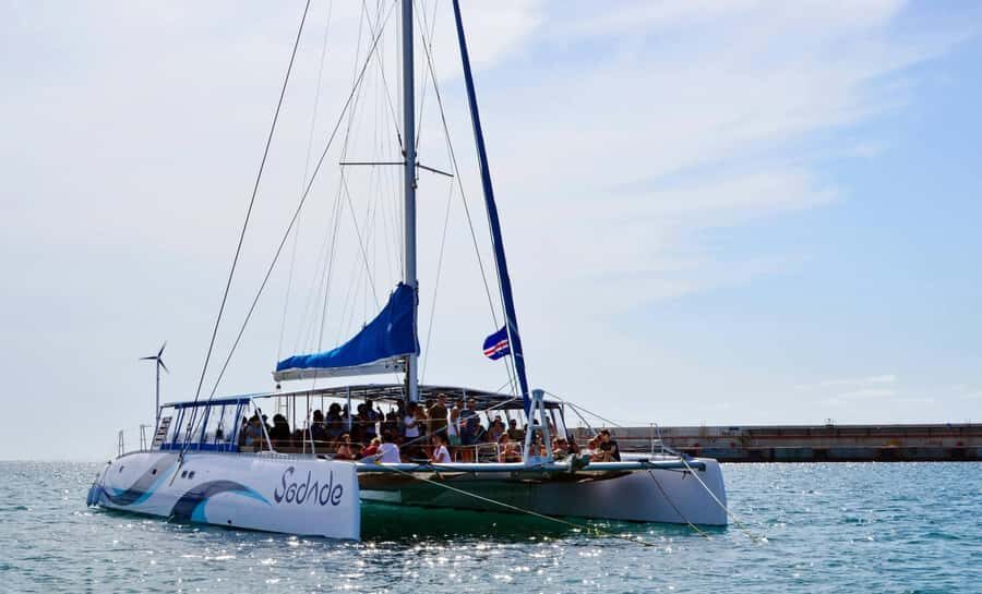 Sal Island Catamaran Cruise with All-inDrinks and Snacks - Who Should Book This Catamaran Cruise (and Who Should Skip It)