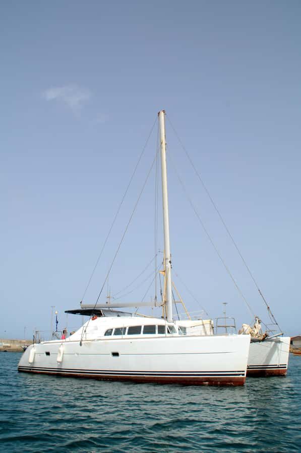 Sal Island: Catamaran cruises on Sal Island - Monte Leão Swimming Stop: The Water, the Nets, and Your Reality Check