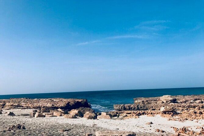 Sal Island in a Group - A Full Day Exploring the Highlights - Why Sal Island in One Full Day Feels Just Right