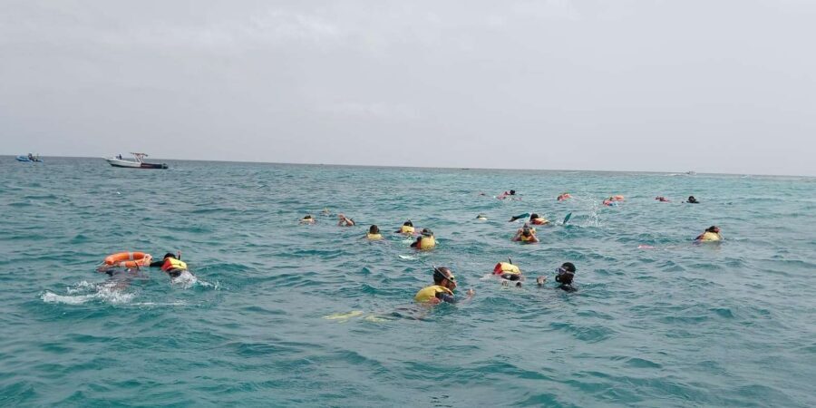 Sal Island: Santa Maria Snorkelling - Farol reef area: where turtles and rays are on the radar