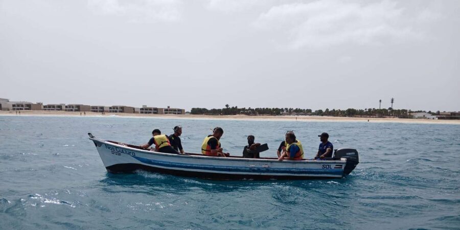 Sal Island: Santa Maria Snorkelling - What you can realistically see: a practical checklist