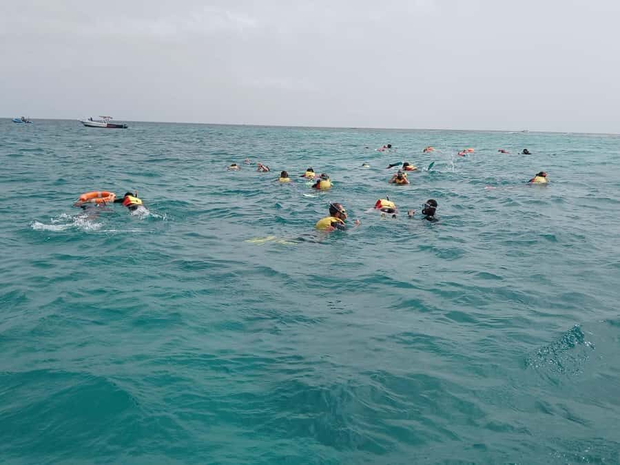 Sal Island: Santa Maria Snorkelling - Santa Maria Bay conditions: why two hours feels like more