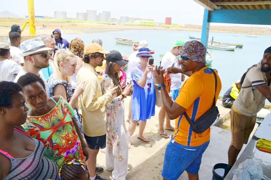 Sal Island tour: Blue Eye, Salt Lake, Sharks w/ Local Guide - Shark Bay baby lemon sharks: a rules-based wildlife moment