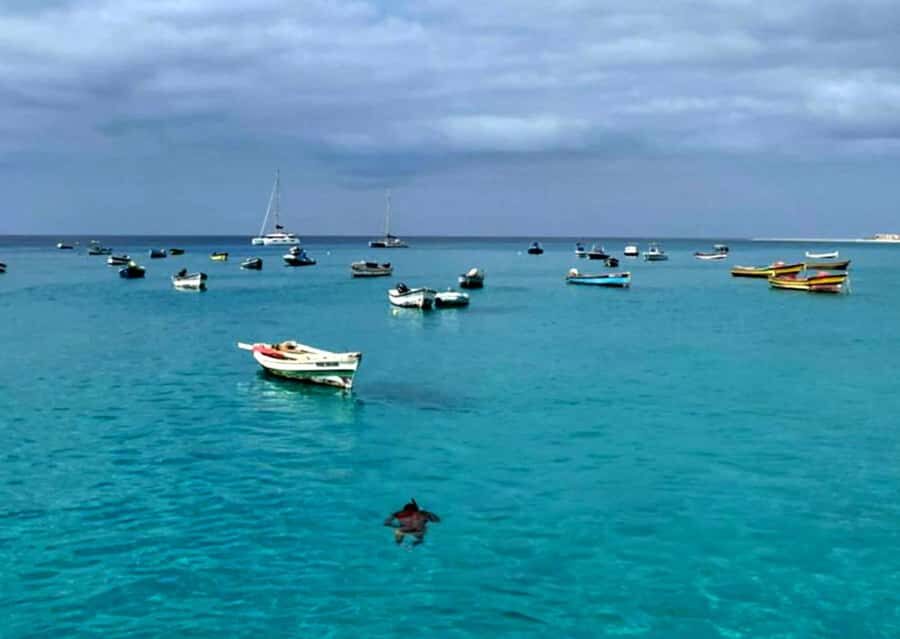 Sal: Private Tour Secrets of a native guide All-inclusive - Why this private Sal day feels more real than a checklist