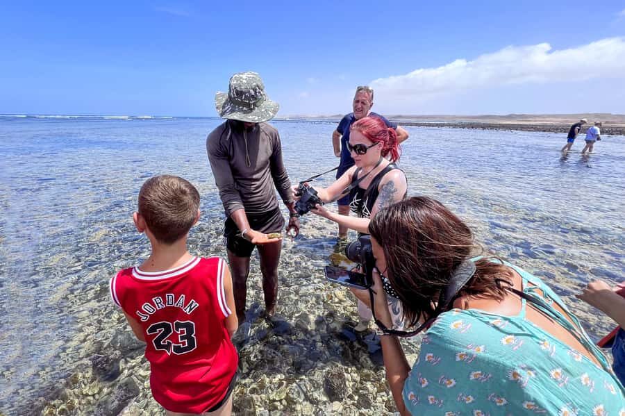 Sal: Small Group Island Tour & Lunch with a Local Family - Price and value: what you’re really paying for